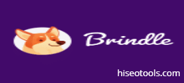Brindle Booking Plugin Unlimited Sites – Lifetime (Plugins & Original License)