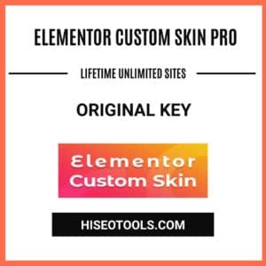 Elementor Custom Skin Pro - Unlimited Site Lifetime