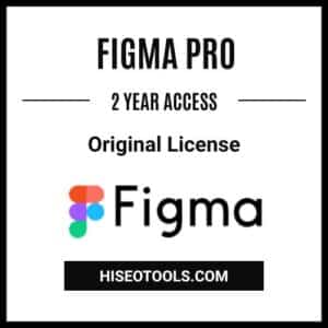 Figma Pro - 2 years